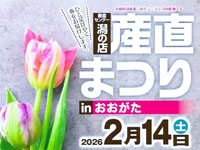 【大潟村】道の駅おおがたで「産直まつり」を2月14日開催!チューリップ即売会など