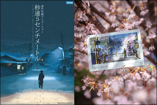 秒速5センチメートル告知