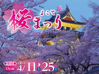 【横手市】「よこて桜まつり」が開催されます(4/11~25)