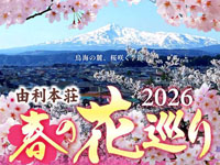 【由利本荘市】「由利本荘 春の花巡り」を開催!ソメイヨシノや黄桜を楽しむ(4/10~5/6)