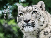 【秋田市】「大森山動物園」が3月20日から通常開園スタートします