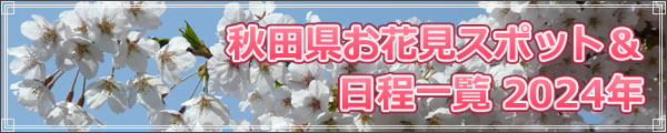 秋田県お花見スポット・日程一覧ロゴ